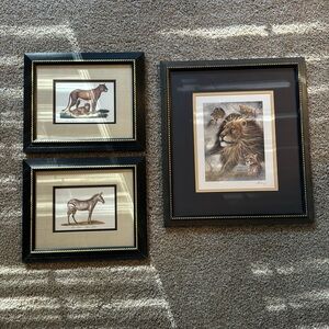 Animal print pictures